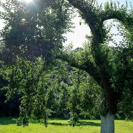 Palac Krzykosy Villa Krzykosy (Masovia)