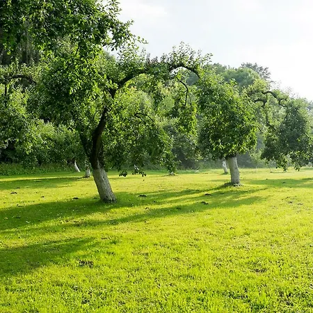 Villa Palac Krzykosy