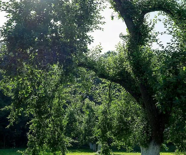 Palac Krzykosy Villa Krzykosy (Masovia)
