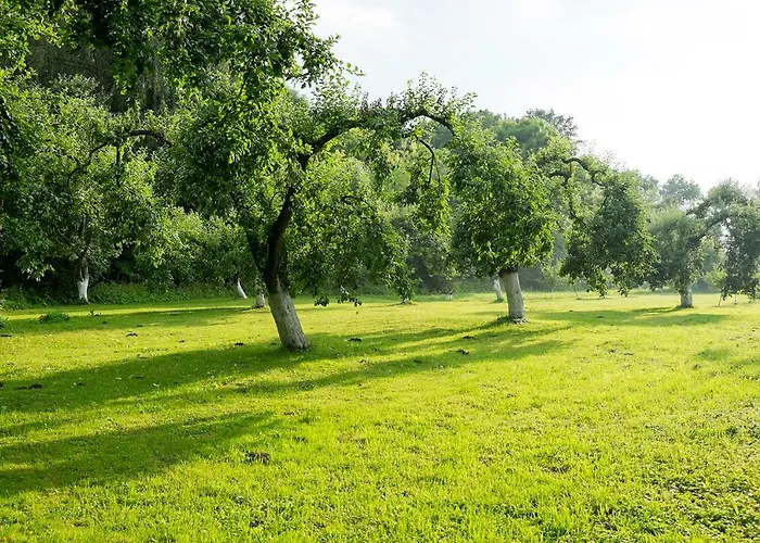 Villa Palac Krzykosy